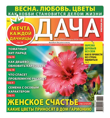 Газета ДАЧА